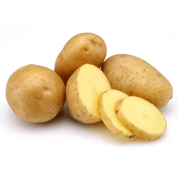 Fresh Potato 